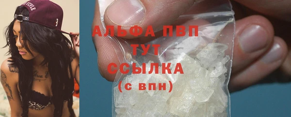 экстази Арсеньев