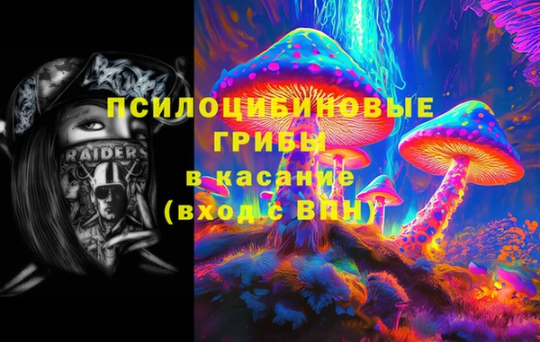 экстази Арсеньев